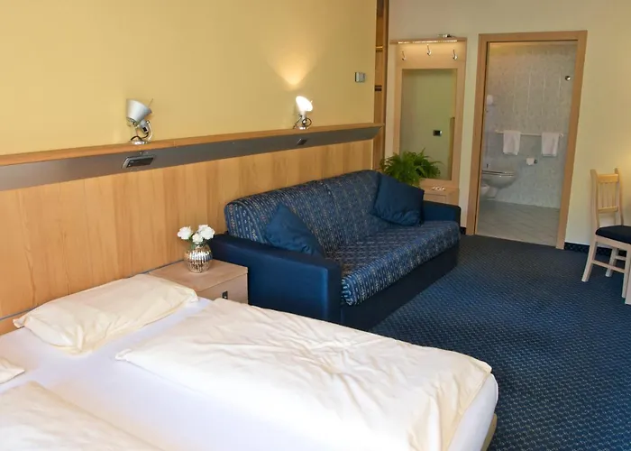 Hotel Alexander Charme 4*