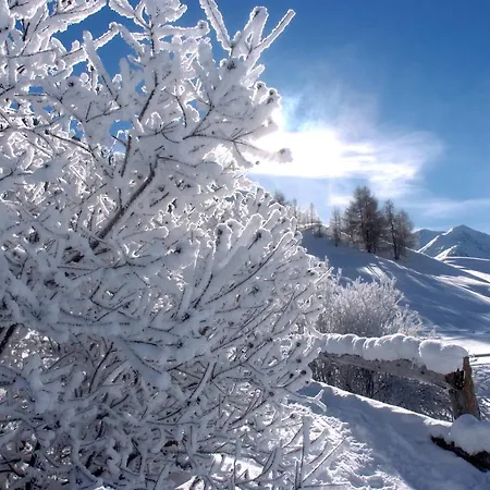 Hotel Alexander Charme